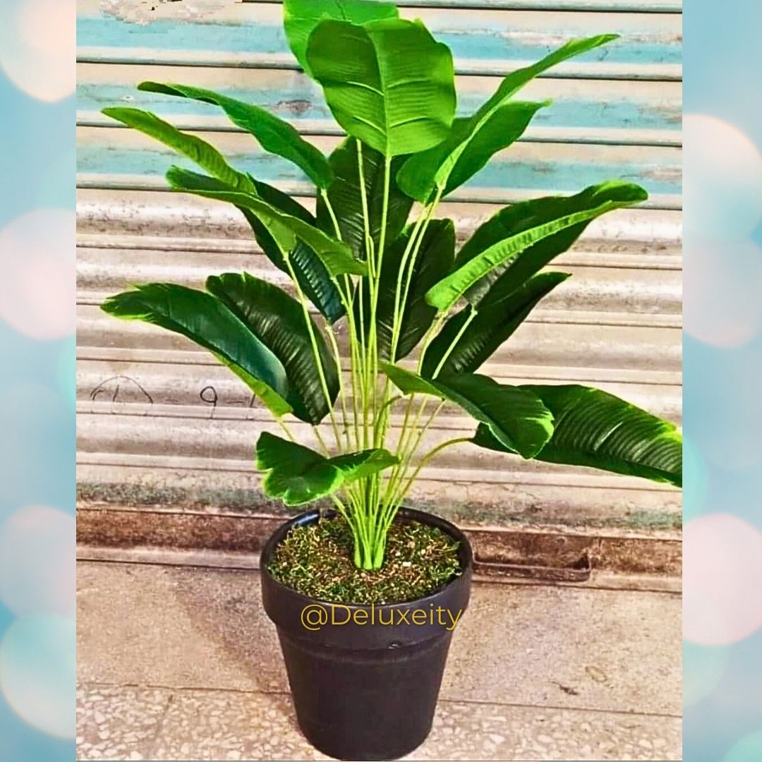 Indoor & Outdoor Artificial Plants – Hassle-Free Greenery